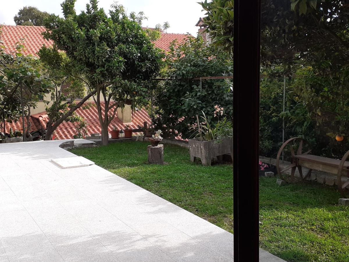 维拉·普拉亚·德·安科拉Casa De Santa Luzia A公寓 外观 照片