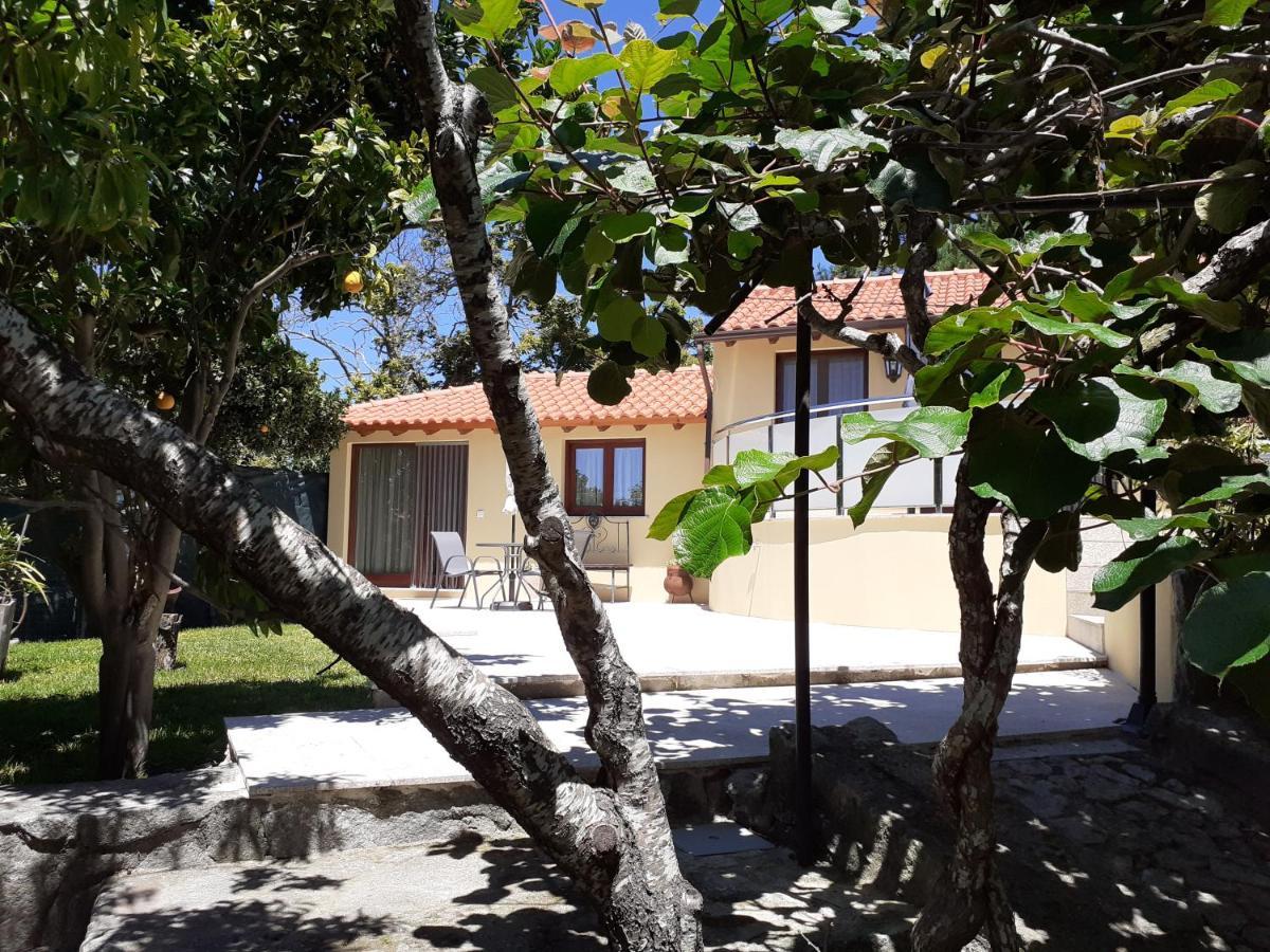 维拉·普拉亚·德·安科拉Casa De Santa Luzia A公寓 外观 照片