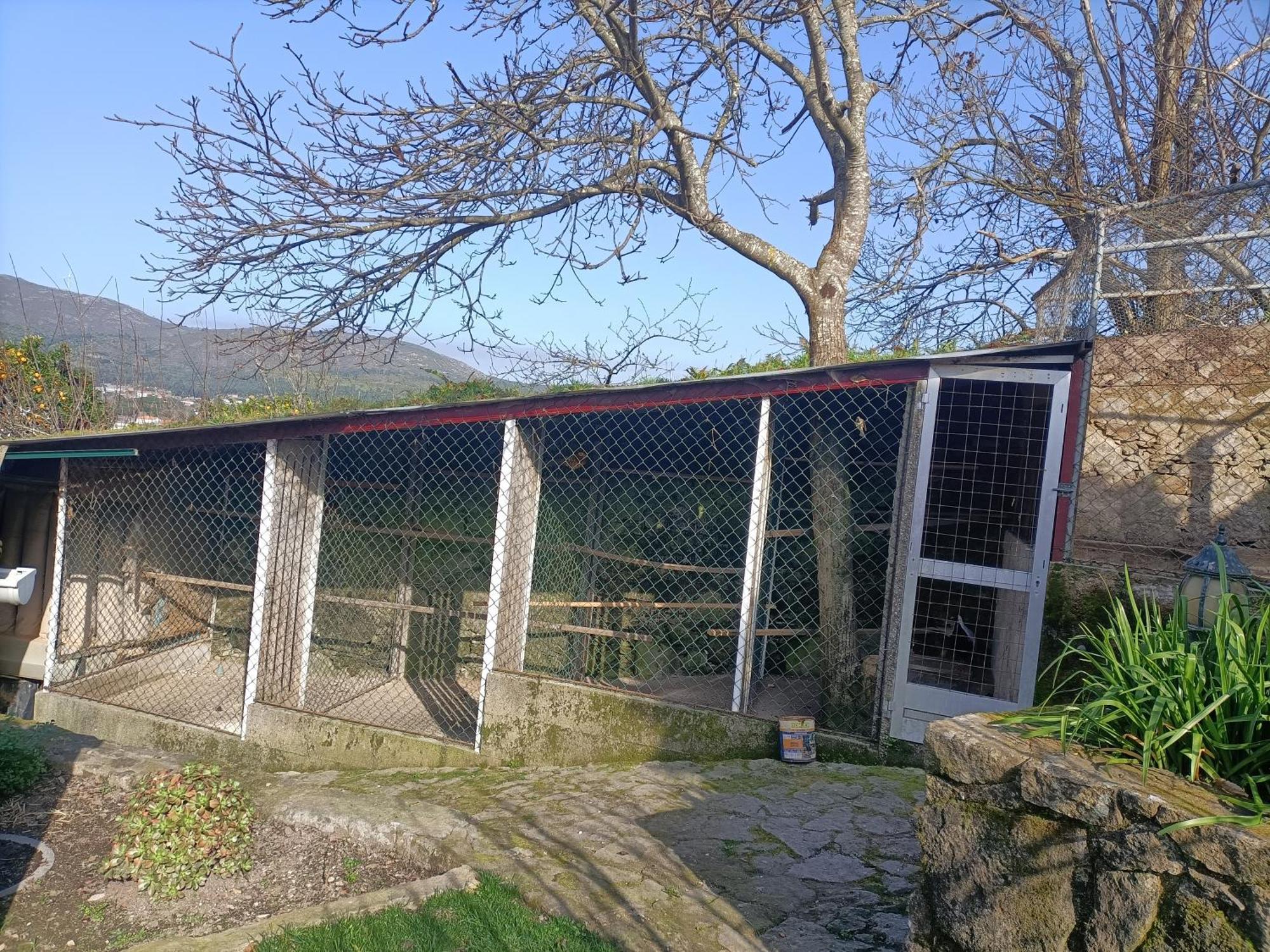 维拉·普拉亚·德·安科拉Casa De Santa Luzia A公寓 外观 照片