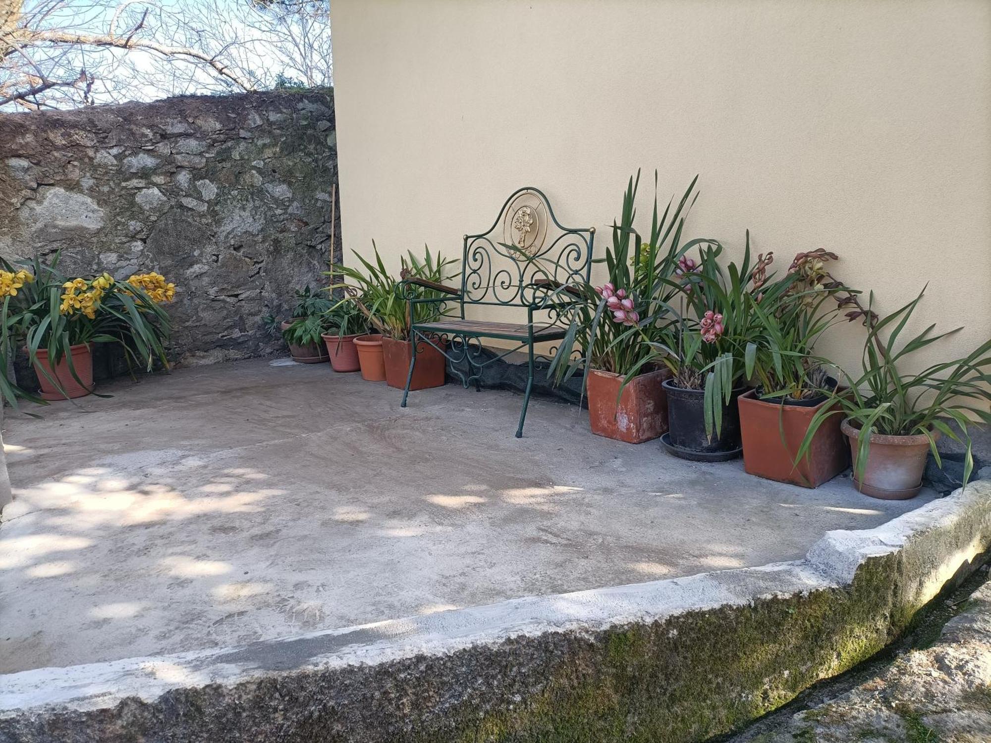 维拉·普拉亚·德·安科拉Casa De Santa Luzia A公寓 外观 照片