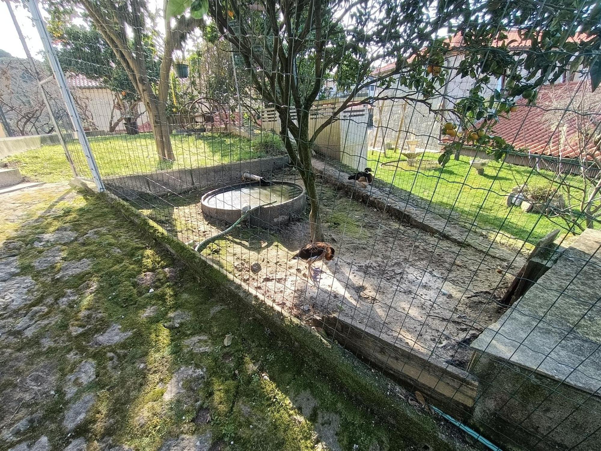 维拉·普拉亚·德·安科拉Casa De Santa Luzia A公寓 外观 照片